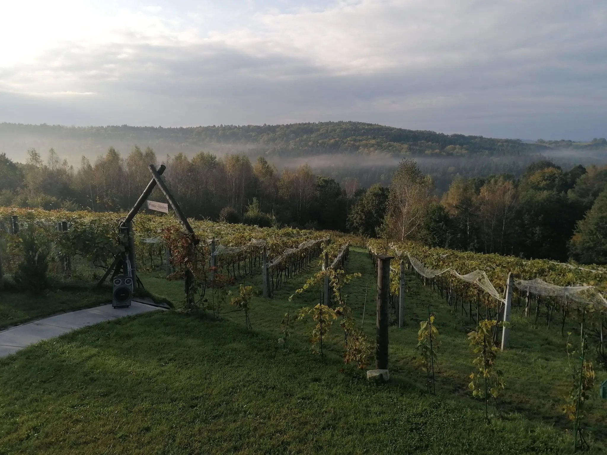 Winnica Jakubowa kontakt