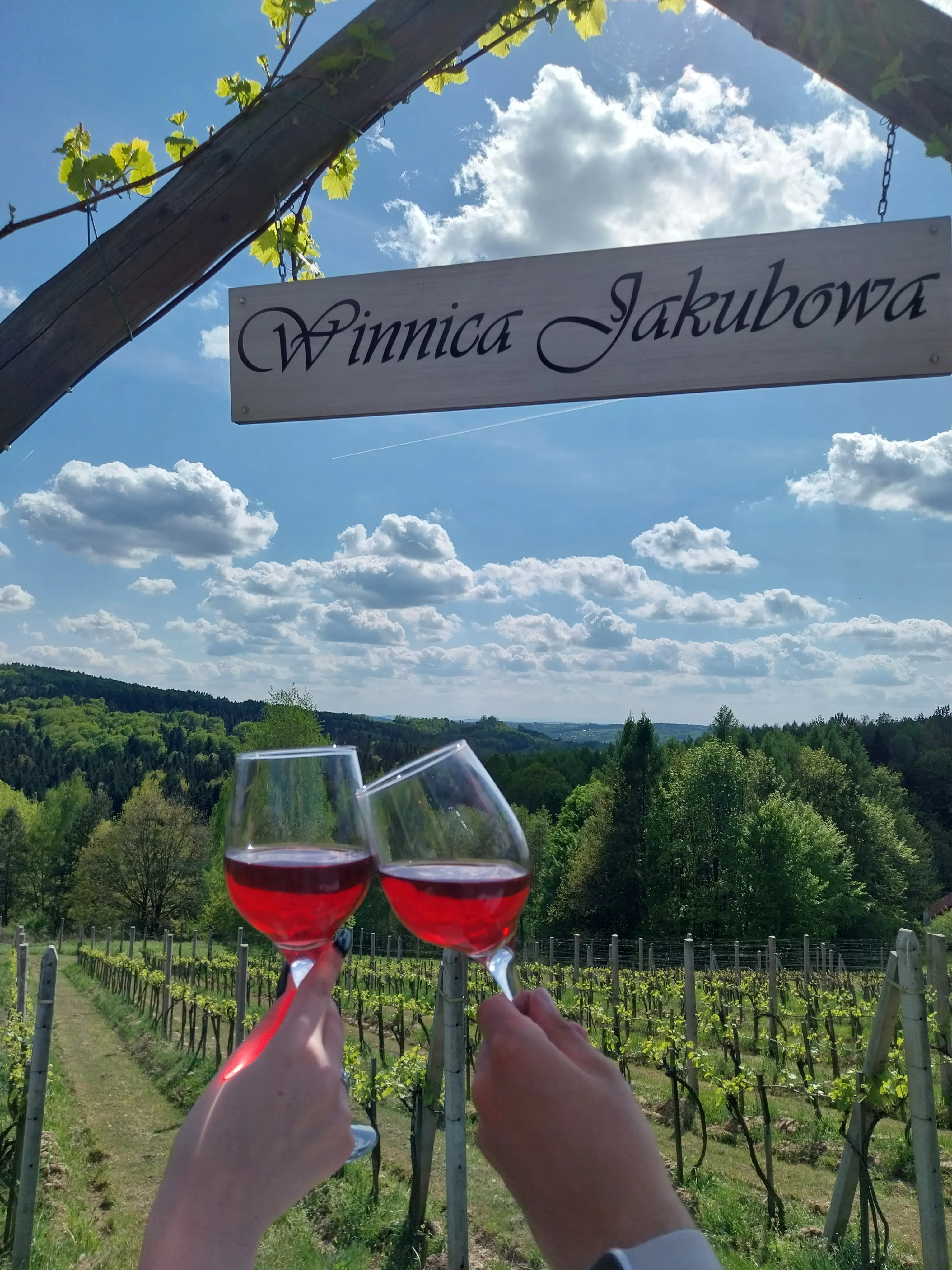 Kieliszki wina i tablica Winnica Jakubowa